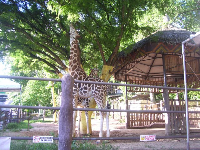 emperor valley zoo