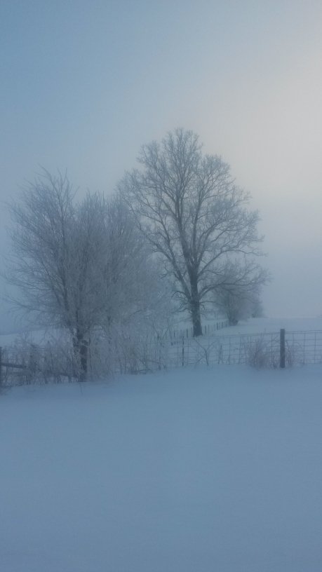 f39bd537-81d3-4e0c-a527-945082dc1538.jpeg