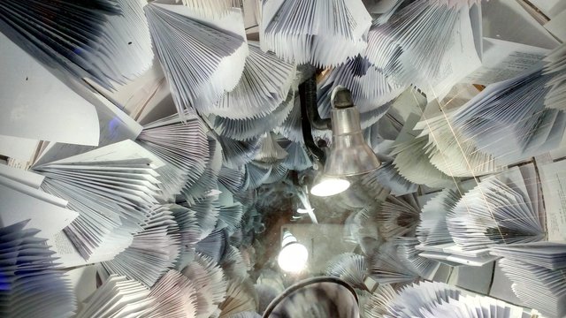 f69975b1-e8f8-403c-b777-30b45d0d8df0.jpeg