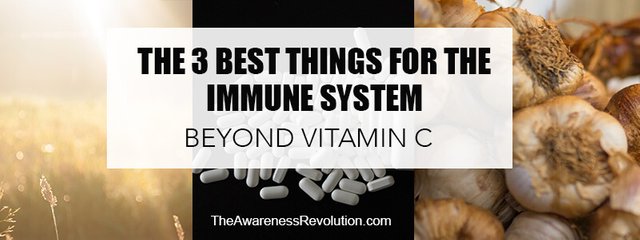 3 Best Things For the Immune System Beyond Vitamin C