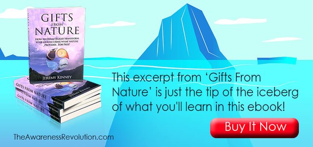 Excerpt From Gifts From Nature