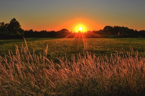 Brown and Green Grass Field during Sunset. Photo by Jonathan Petersson