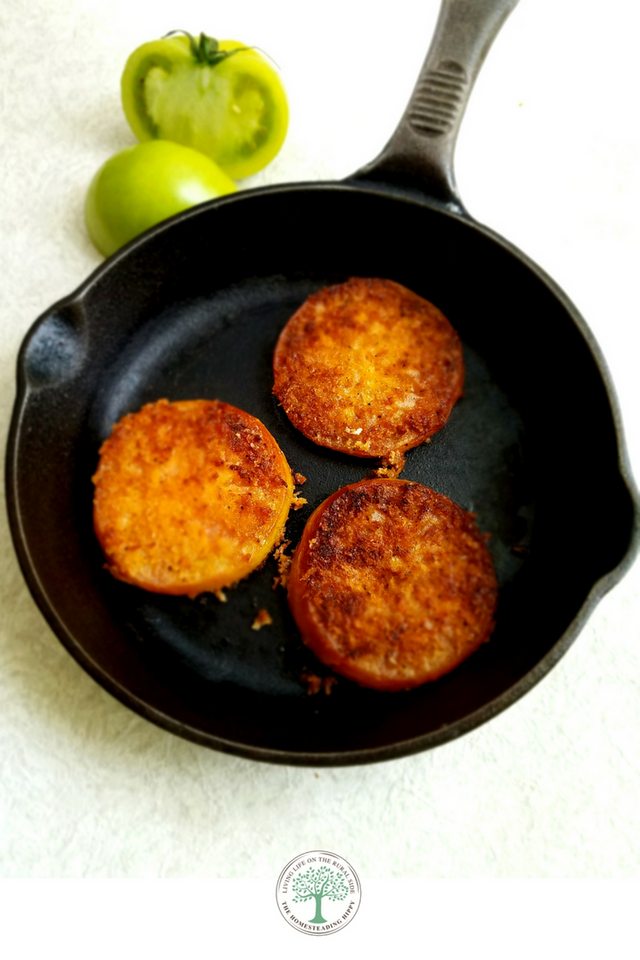 Delicious, crispy, and full of garden fresh flavor! These fried green tomatoes are sure to make your mouth water!