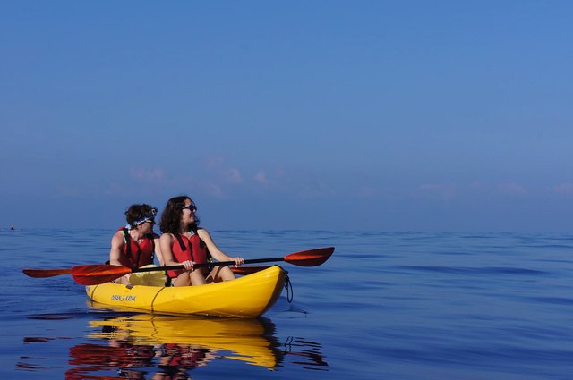 Aloha Kayaks Whale Watching