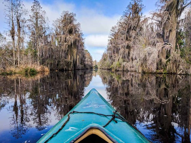 Okefenokee Swamp Kayak Reflection