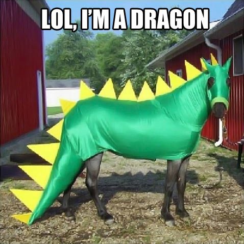 Image result for dragon funny pictures