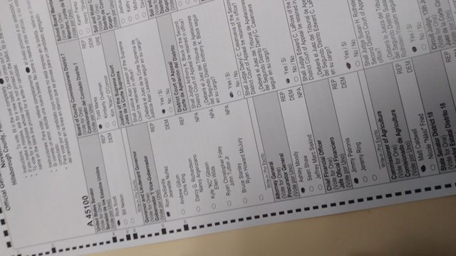 Tonygreene113 midterm 2018 voting ballot