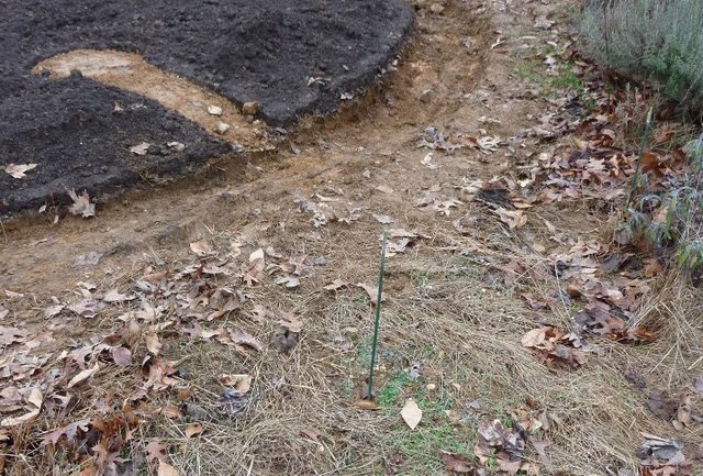 the dug central circular path