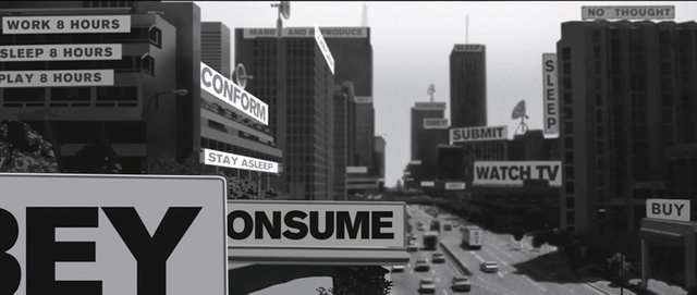 they live