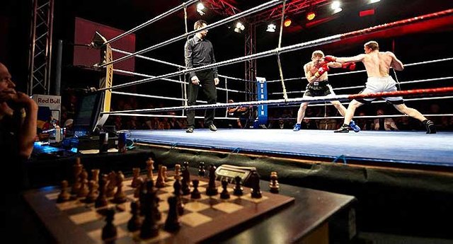 TIL That You Can Combine Anything Including Chess and Boxing