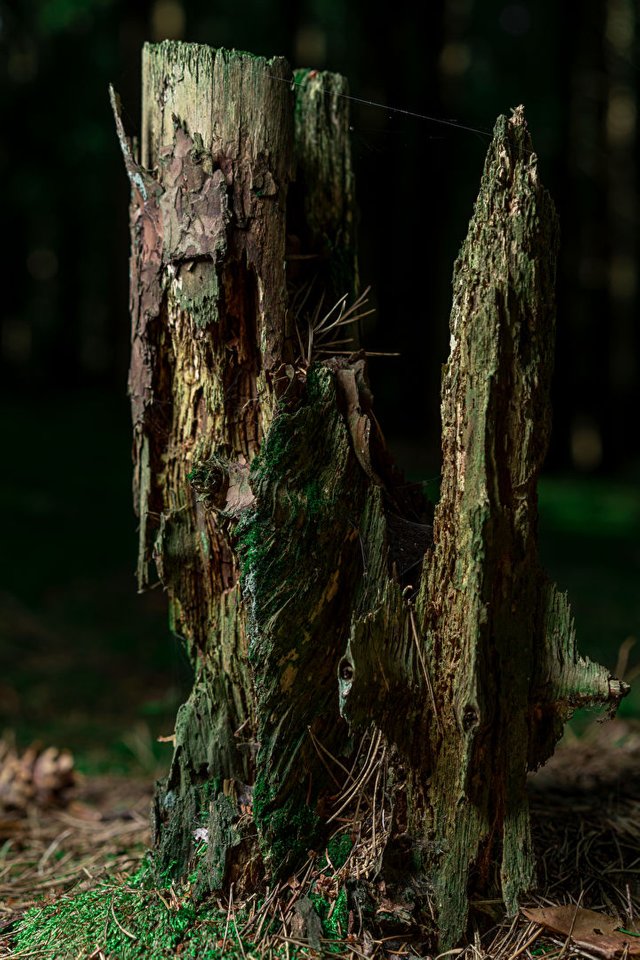 bescouted_photo.jpg