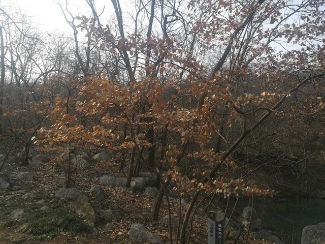 琅琊山冬景图2