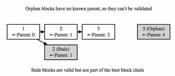 上图非常好的反映了Stale Block和Orphan Block的关系
