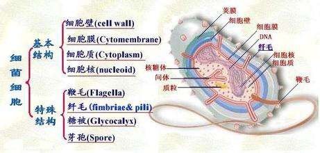 图片发自简书App