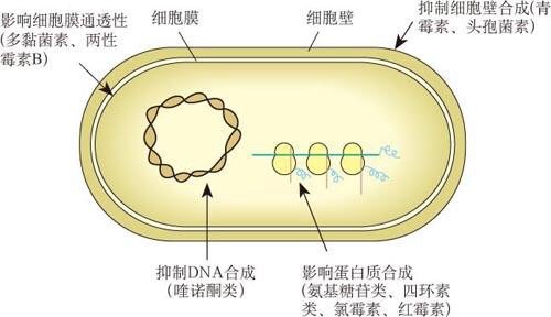 图片发自简书App