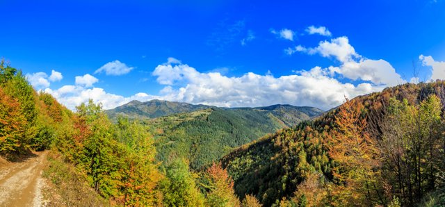 Mountain Golija in Autumn