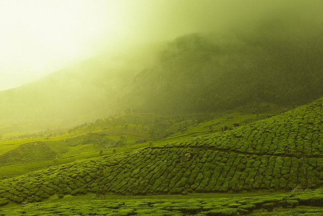 hills in rain