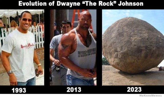 Image result for the rock meme