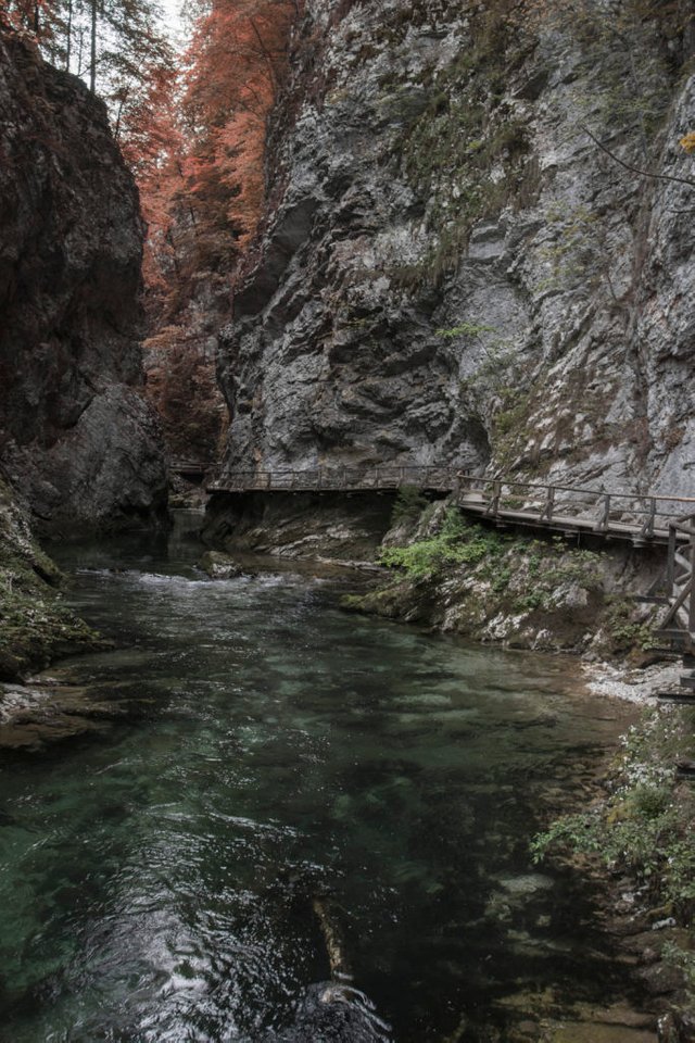 Vintgar gorge