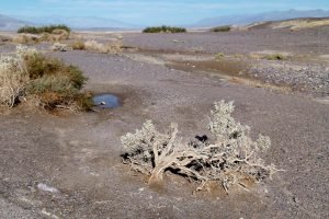 death-valley-268404_1920