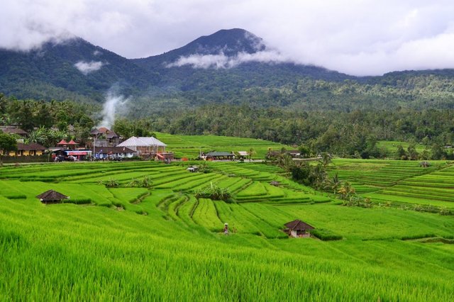 Jatiluwih Rice Terraces in Bali, Indonesia