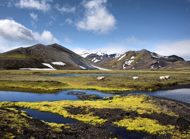 The Fjallabak Nature Reserve, Iceland
