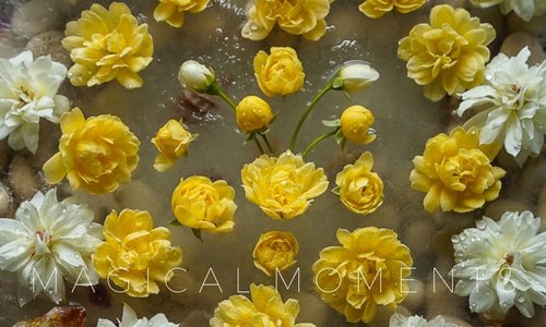 Golden Heart Magical Moments Nature S Beauty Color Challenge