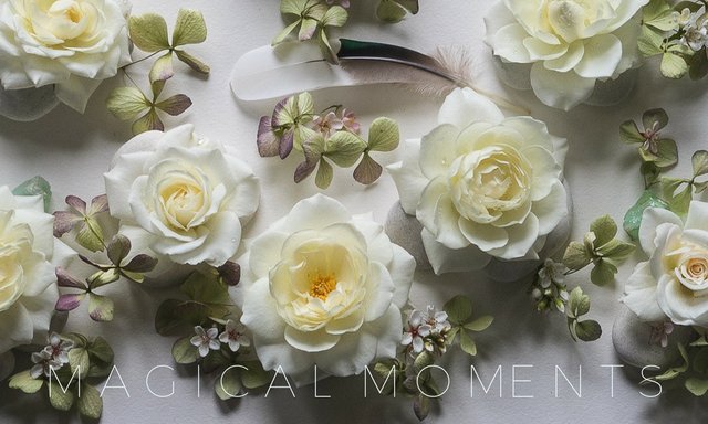 MAGICAL MOMENTS white