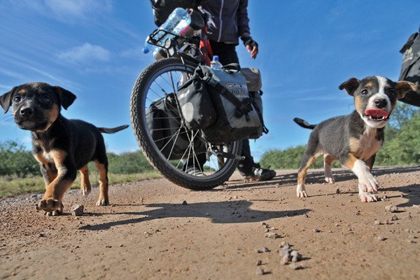 Mit dem Moped durch Argentinien.