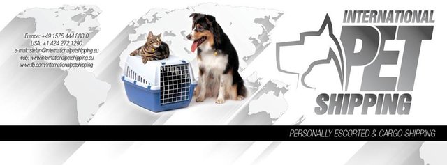 International pet shipping