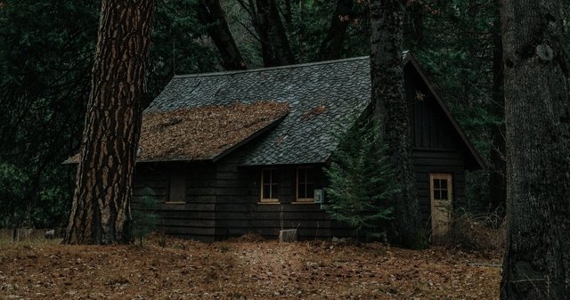 Cabin In the Woods