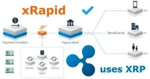 xrapid ripple