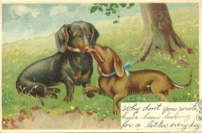 postcard-two-dachshunds-by-tree