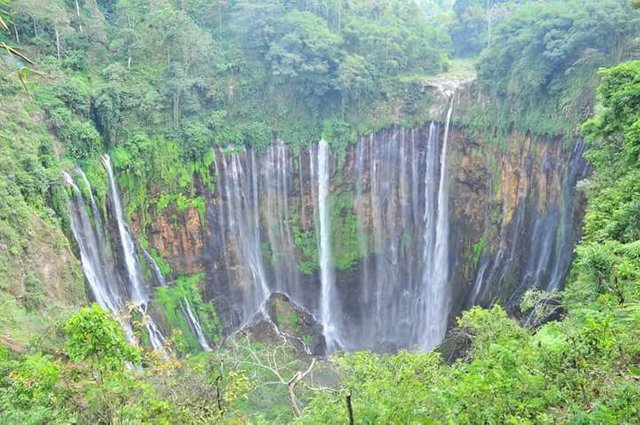 Tumpek Sewu Waterfall Steemit