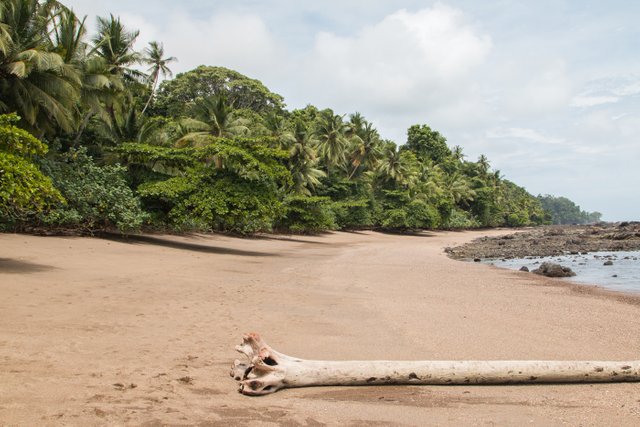 Remote beach in Corcovado National Park