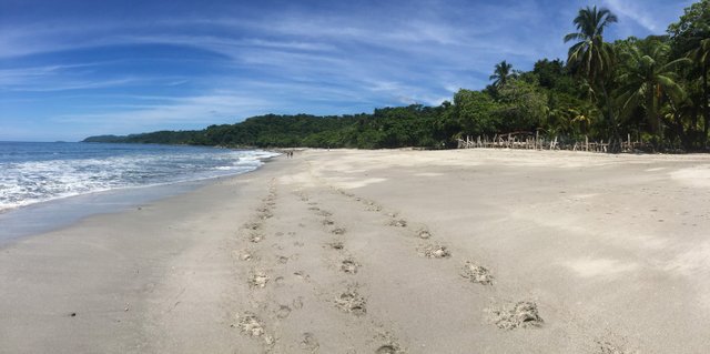 Costa Rican beaches living up to expectations