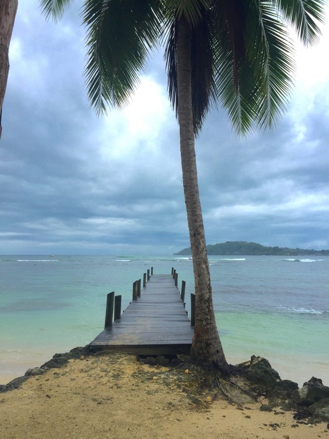 Bocos Del Toro