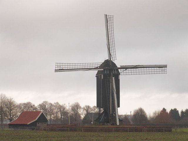 nearest windmill