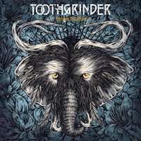 Toothgrinder