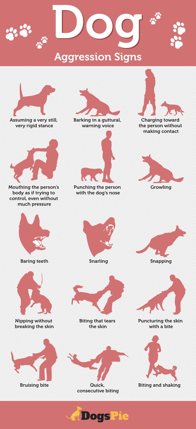 Dog Aggression Signs