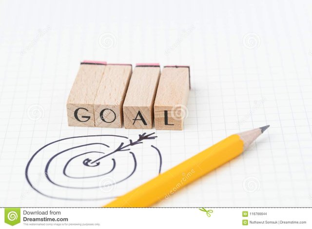 what should be your goal in business