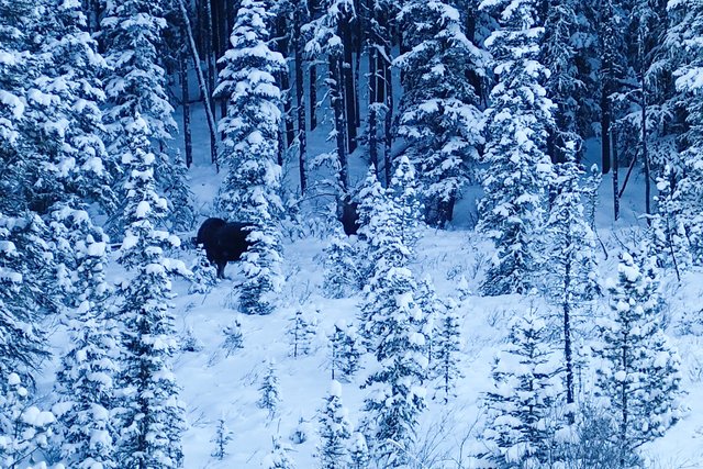 XCSkiing-Canada