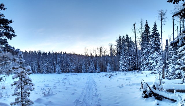 XCSkiing-Canada