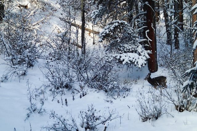 XCSkiing-Canada