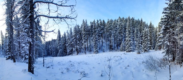 XCSkiing-Canada