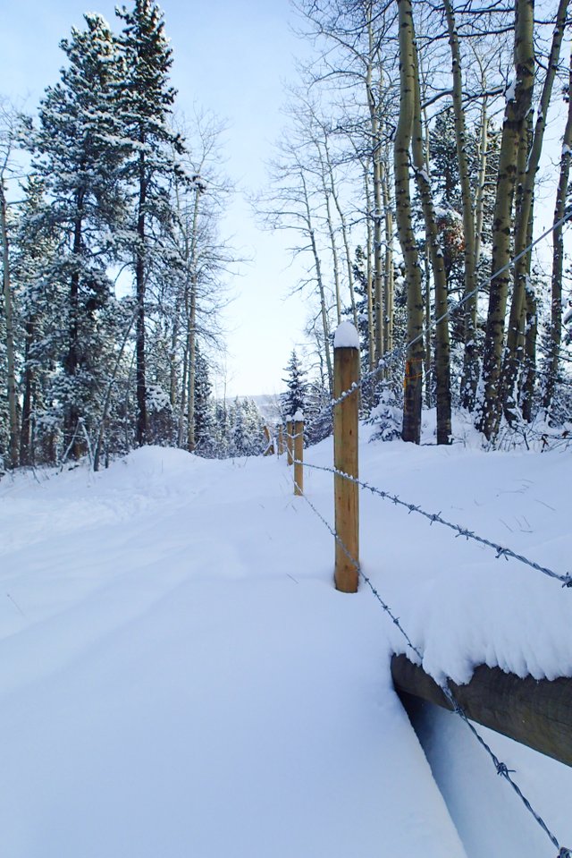 XCSkiing-Canada