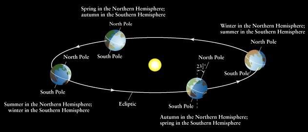 The four seasons of the year: spring, summer, autumn (fall) and