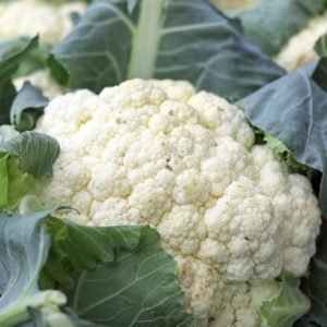 Cauliflower, a rich source of Pantothenic Acid (Vitamin B5) & Vitamin B6