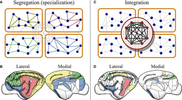 Sizing Up Consciousness by Its Bits - The New York Times