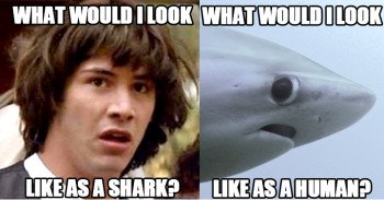 32100-conspiracy-keanu-shark